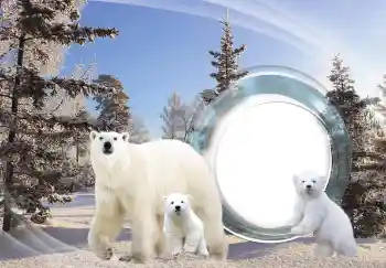 Photo effect from category Different № 143683 Photo effect from category Different № 143683