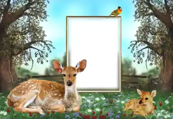 Photo effect from category Different № 143762 Photo effect from category Different № 143762