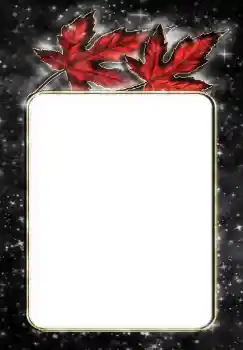 Photo effect from category Different № 144867 Photo effect from category Different № 144867