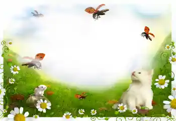 Photo effect from category Different № 144908 Photo effect from category Different № 144908