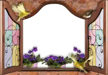 Photo effect from category Different № 145186