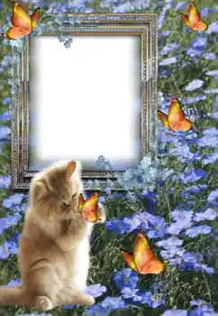 Photo effect from category Different № 147609 Photo effect from category Different № 147609