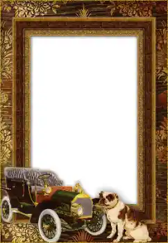 Photo effect from category Different № 148971