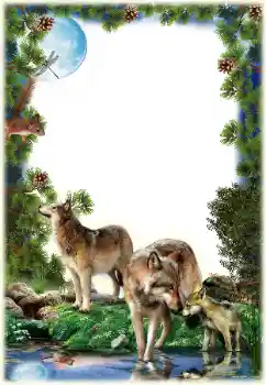 Photo effect from category Different № 149261