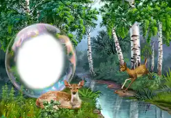 Photo effect from category Different № 149352 Photo effect from category Different № 149352