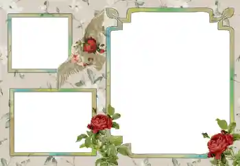 Photo effect from category Different № 15030 Photo effect from category Different № 15030