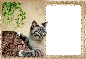 Photo effect from category Different № 150513