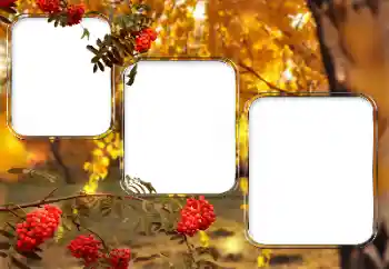 Photo effect from category Different № 150527