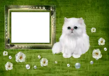 Photo effect from category Different № 150550