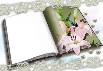 Photo effect from category Different № 150570