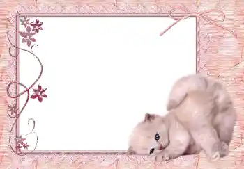 Photo effect from category Different № 150650