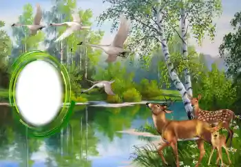 Photo effect from category Different № 151671