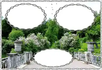 Photo effect from category Different № 152936