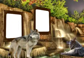 Photo effect from category Different № 153016