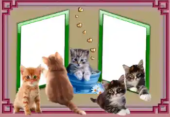 Photo effect from category Different № 153045