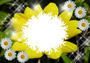 Photo effect from category Different № 1530 Photo effect from category Different № 1530