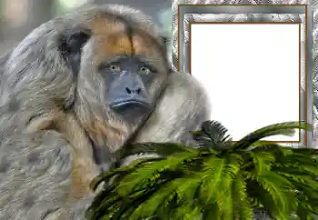 Photo effect from category Different № 154503