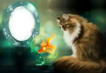 Photo effect from category Different № 154509