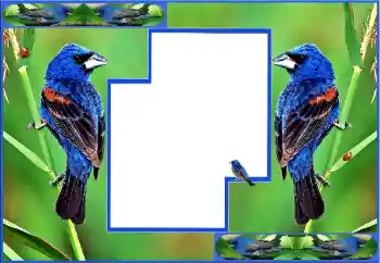 Photo effect from category Different № 154512