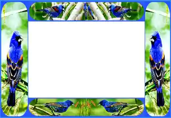 Photo effect from category Different № 154514