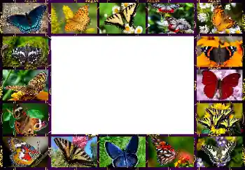 Photo effect from category Different № 154545 Photo effect from category Different № 154545