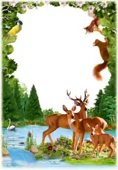 Photo effect from category Different № 154547 Photo effect from category Different № 154547