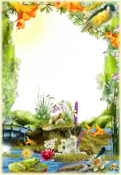 Photo effect from category Different № 154548 Photo effect from category Different № 154548