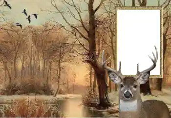 Photo effect from category Different № 154607 Photo effect from category Different № 154607