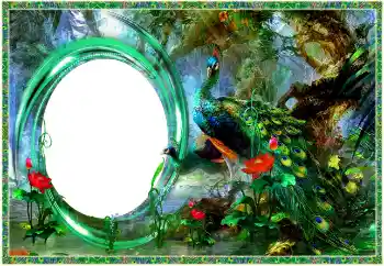 Photo effect from category Different № 154704 Photo effect from category Different № 154704