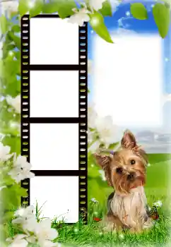 Photo effect from category Different № 154718