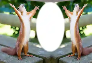 Photo effect from category Different № 154733