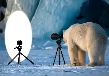 Photo effect from category Different № 154736