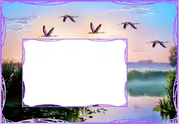 Photo effect from category Different № 154759