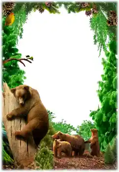 Photo effect from category Different № 155801