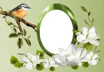 Photo effect from category Different № 155868 Photo effect from category Different № 155868