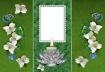 Photo effect from category Different № 157116 Photo effect from category Different № 157116