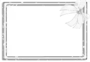 Photo effect from category Different № 160788