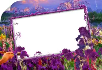 Photo effect from category Different № 160843 Photo effect from category Different № 160843