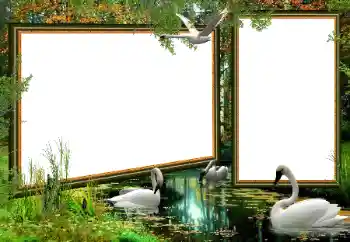 Photo effect from category Different № 160922 Photo effect from category Different № 160922