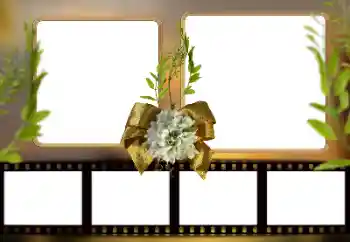 Photo effect from category Different № 161948