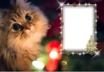 Photo effect from category Different № 162030 Photo effect from category Different № 162030