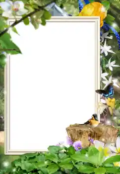 Photo effect from category Different № 162044 Photo effect from category Different № 162044