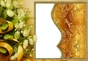 Photo effect from category Different № 162100 Photo effect from category Different № 162100