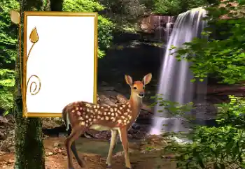 Photo effect from category Different № 163220 Photo effect from category Different № 163220