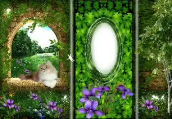 Photo effect from category Different № 166033