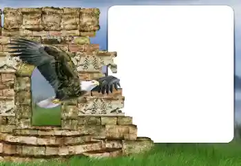 Photo effect from category Different № 166357 Photo effect from category Different № 166357