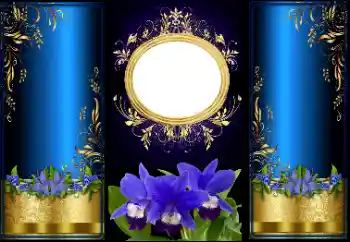 Photo effect from category Different № 166447