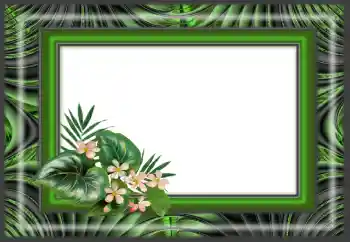 Photo effect from category Different № 166640 Photo effect from category Different № 166640