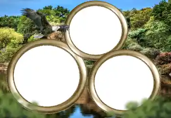 Photo effect from category Different № 167860