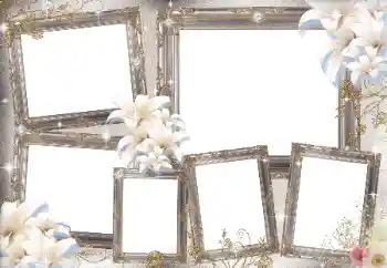 Photo effect from category Different № 169031